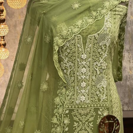 Elegant Green Organza Embroidered Salwar Suit with Handwork